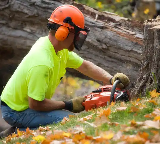 tree services Mount Olive